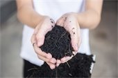 Child holding soil in hands