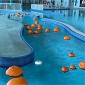 Pumpkins floating in a lazy river