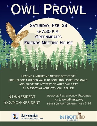 Flyer for Owl Prowl