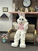 Easter bunny in a chair