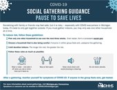 Social Gathering Guidance