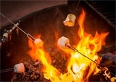 Marshmallows being roasted over a campfire