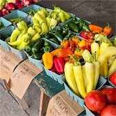 Vegetables at a local farmer's market