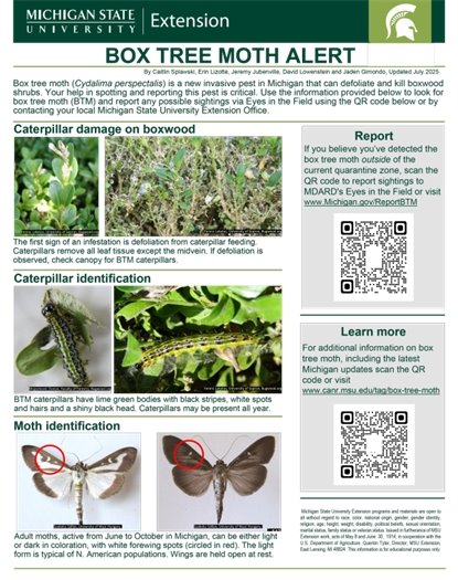 Flyer about box tree moths