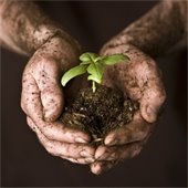 Take Pride in Livonia by Cleaning up!