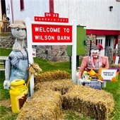 Scarecrows by a pumpkinfest sign