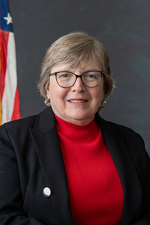 Eileen McDonnell, Council Member