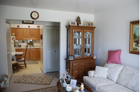 Living room and kitchen