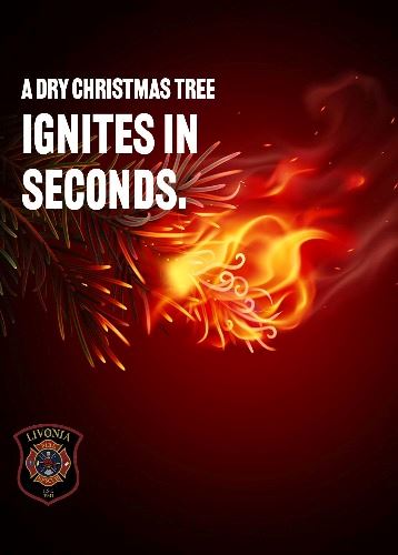 Christmas Tree Safety