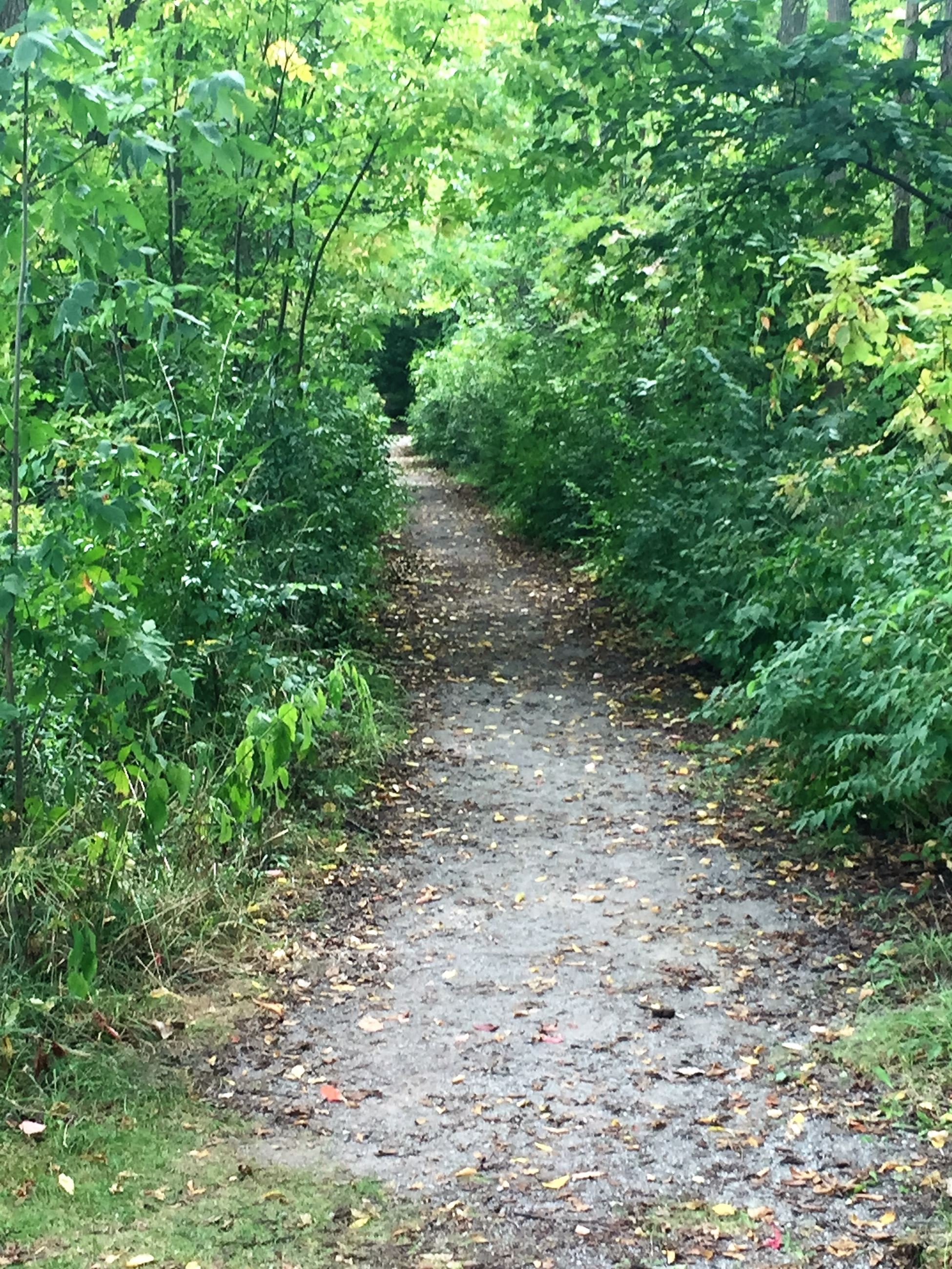 Virginia B. Matley Nature Trail