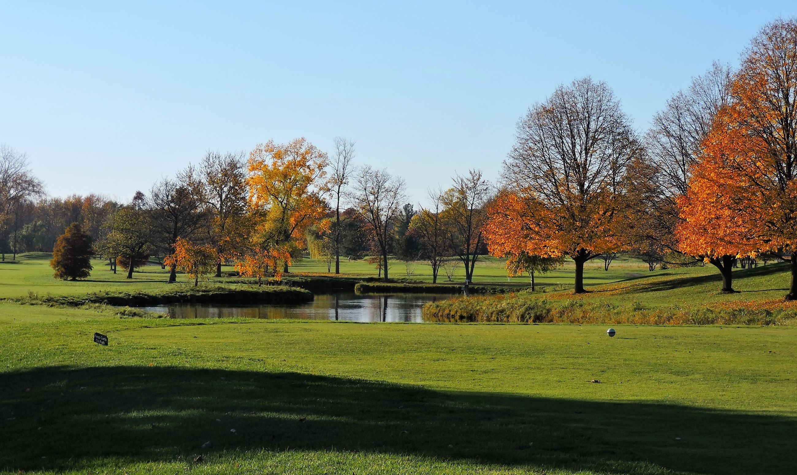 Pond and Trees at 18-Hole Golf Course